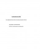 Mi Sueño Como Futura Profesionista