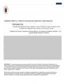 LABORATORIO N° 3 IDENTIFICACION DE GRUPOS FUNCIONALES