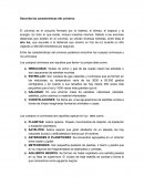 Describa las características del universo