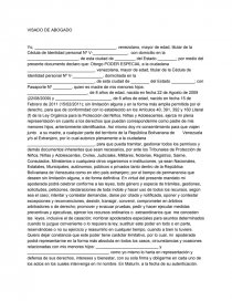 Modelo de poder especial para viaje menores. Página 1