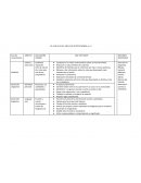 Plan mensual proyecto alternativo