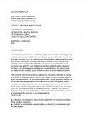 Accion anzimatica, Actividad de la amilasa sobre el almidón