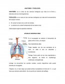 Anatomia y Fisiologia. Célula-tejido-órganos-aparatos-sistemas