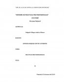 Informe de prácticas preprofesionales