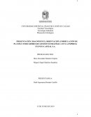 PRESENTACIÓN, DIAGNÓSTICO, ORIENTACIÓN, FORMULACIÓN DE PLANES E INDICADORES DE GESTIÓN ESTRATÉGICA EN LA EMPRESA EVENTO CAPITAL S.A.