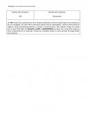 Directorio 1 - Plan de Desarrollo Empresarial Empresa Chocomania