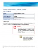 Formato: Programa maestro de producción El tornillón