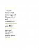 Trabajo Practico de Psicología del Desarrollo y del Aprendizaje