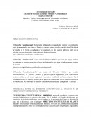 Derecho Constitucional. Visión Contemporánea de Venezuela y el Mundo