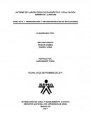 INFORME DE LABORATORIO DE DIAGNÓSTICO Y EVALUACIÓN AMBIENTAL (LADEAM)
