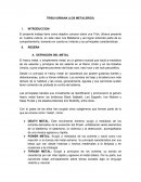 TRIBU URBANA (LOS METALEROS)