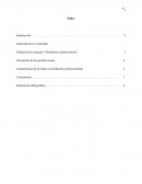 Discapacidad intelectual. Definición de conceptos “Disfunción cerebral mínima”