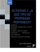 ACTIVIDAD 1. ¿A QUÉ TIPO DE PROPIEDAD PERTENECE?