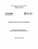 Tesina marketing empresa R&R