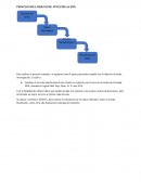 EVALUAR EL NIVEL DE SATISFACCION DE LOS CLIENTES EN LA TIENDA EPK AGORA MALL