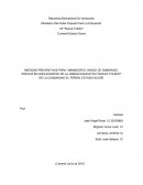 MEDIDAS PREVENTIVAS PARA MINIMIZAR EL ÍNDICE DE EMBARAZO PRECOZ EN ADOLECENTES DE LA UNIDAD EDUCATIVA "NUEVA TOLEDO" DE LA COMUNIDAD EL PEÑÓN, ESTADO SUCRE