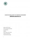 CASOS DE DISOLUCION Y/O FUSIÓN DE SOCIEDADES EMPRESAS AQUACHILE S.A