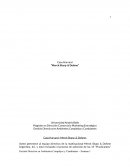 Caso Harvard “Merck Sharp & Dohme”