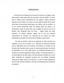 Los tintes para el cabello