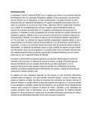 Caso empresa “Centro Comercial MJ&A”