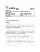 Actividad 1. Análisis del caso: JET AIRWAYS: Despido, Insomnio y empleo