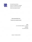 Ensayo Argumentativo Nro.4 El ejercicio de la profesión docente