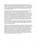 Situacion Socio-Economica Honduras