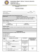 Plan de actividad-Matematicas