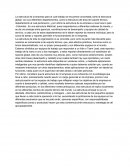 La estructura de la empresa concretada