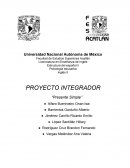 PROYECTO INTEGRADOR “Presente Simple”