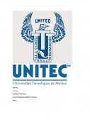 Administracion. Cuestionario primer parcial