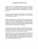 Levantamiento de la información en Campo