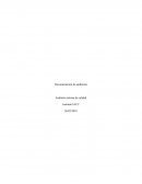 Documentación de auditorías Auditoría interna de calidad