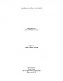 Desarrollo Actividad 2- Identificación del Cliente