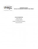 PLAN DE MARKETING.Green IT