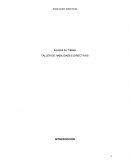 TALLER DE HABILIDADES DIRECTIVAS