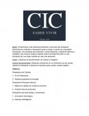 Plan estrategico CIC S.A.