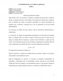 Reacciones Química en Cadena