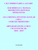 MANEJA DIFERENTES SISTEMAS OPERATIVOS