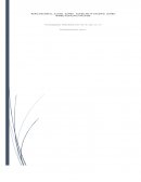 Modelo de gestion de negocios. Gadgets Multinivel