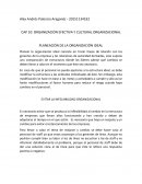 CAP 10: ORGANIZACIÓN EFECTIVA Y CULTURAL ORGANIZACIONAL