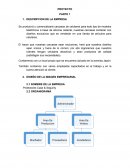 Proyecto empresa Protectores Case & Segurity