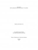 LIDERAZGO ORGANIZACIONAL Y COACHING