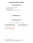 SOLUCIONES AGRICOLAS TORRES