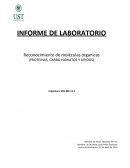 Reconocimiento de moléculas organicas (PROTEINAS, CARBO HIDRATOS Y LIPIDOS)