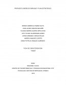 PROPUESTA DISEÑO DE EMPAQUE Y PLAN ESTRATEGICO