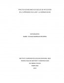 PRACTICA DE MECANICA DE SUELOS DE APLICACIÓN