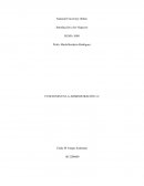 FUNCIONES EN LA ADMINISTRACIÓN