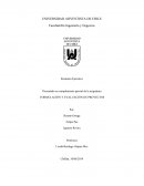 FORMULACIÓN Y EVALUACIÓN DE PROYECTOS