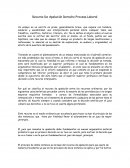 Recurso De Apelación Derecho Procesal Laboral